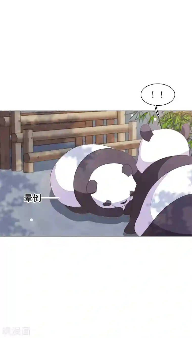 穿回古代做国宝第141话 好好活下去