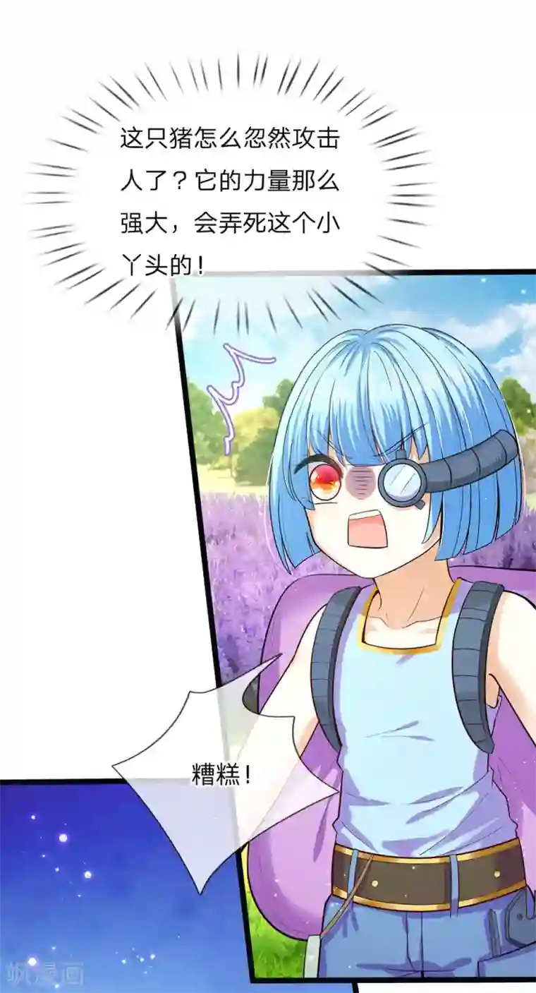 皇帝陛下的天价宝贝第150话 猪猪认主