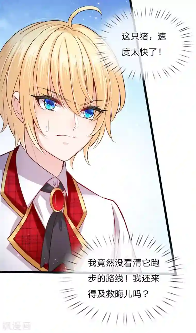 皇帝陛下的天价宝贝第150话 猪猪认主