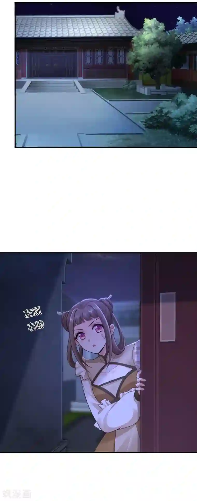 神医妖后第60话 傻妹妹