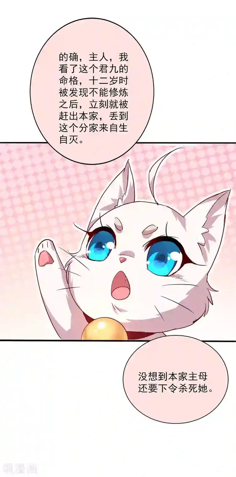 我在异界养男神：神医九小姐第14话 原主前生