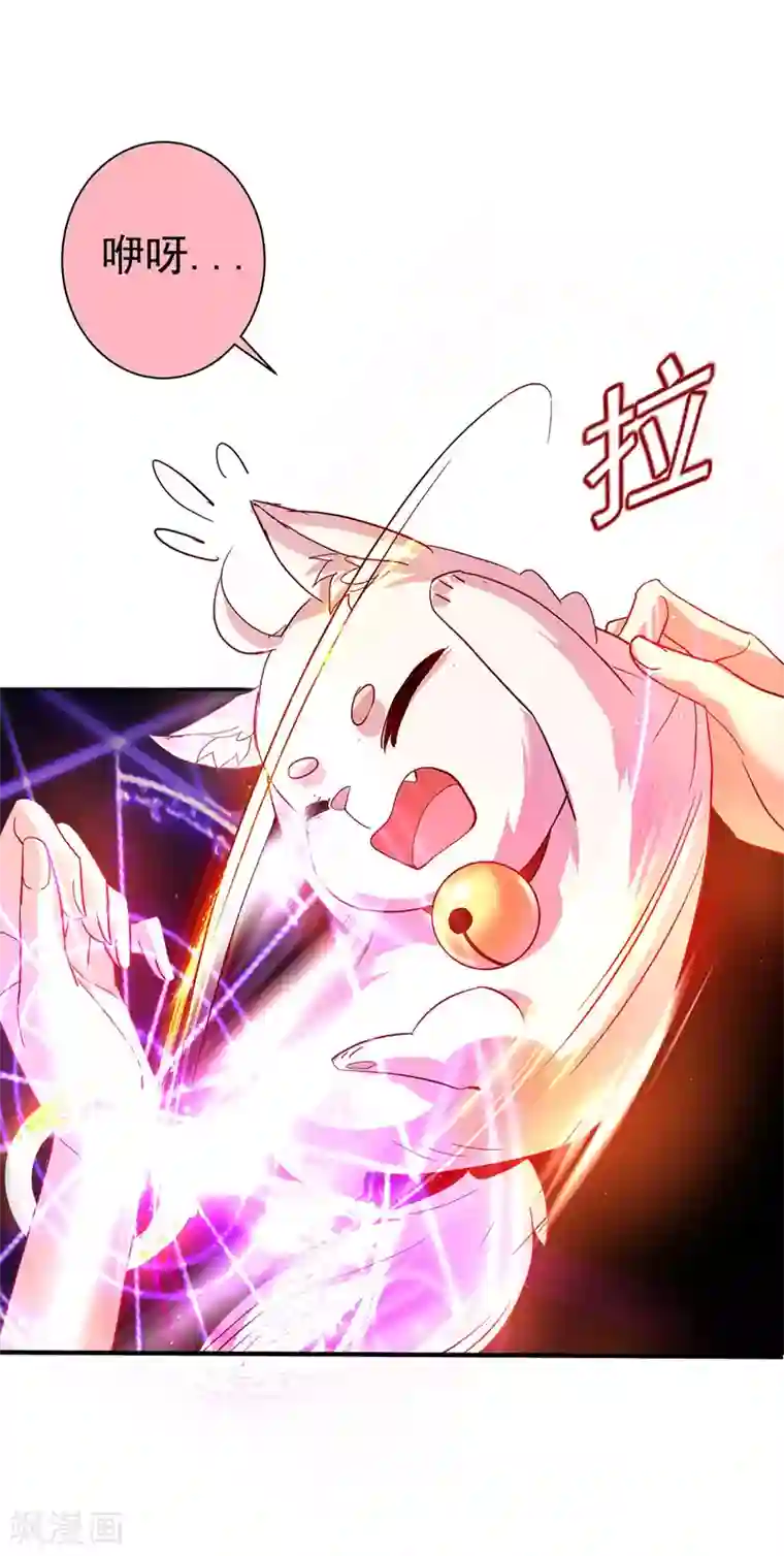 我在异界养男神：神医九小姐第14话 原主前生