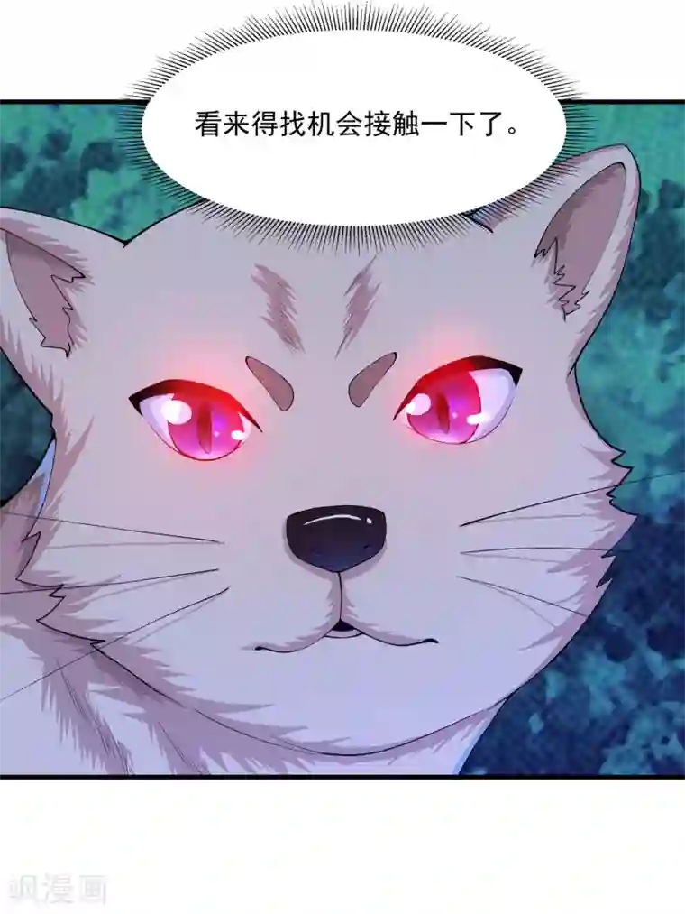 我的神级超能手表第23话 异能猫？