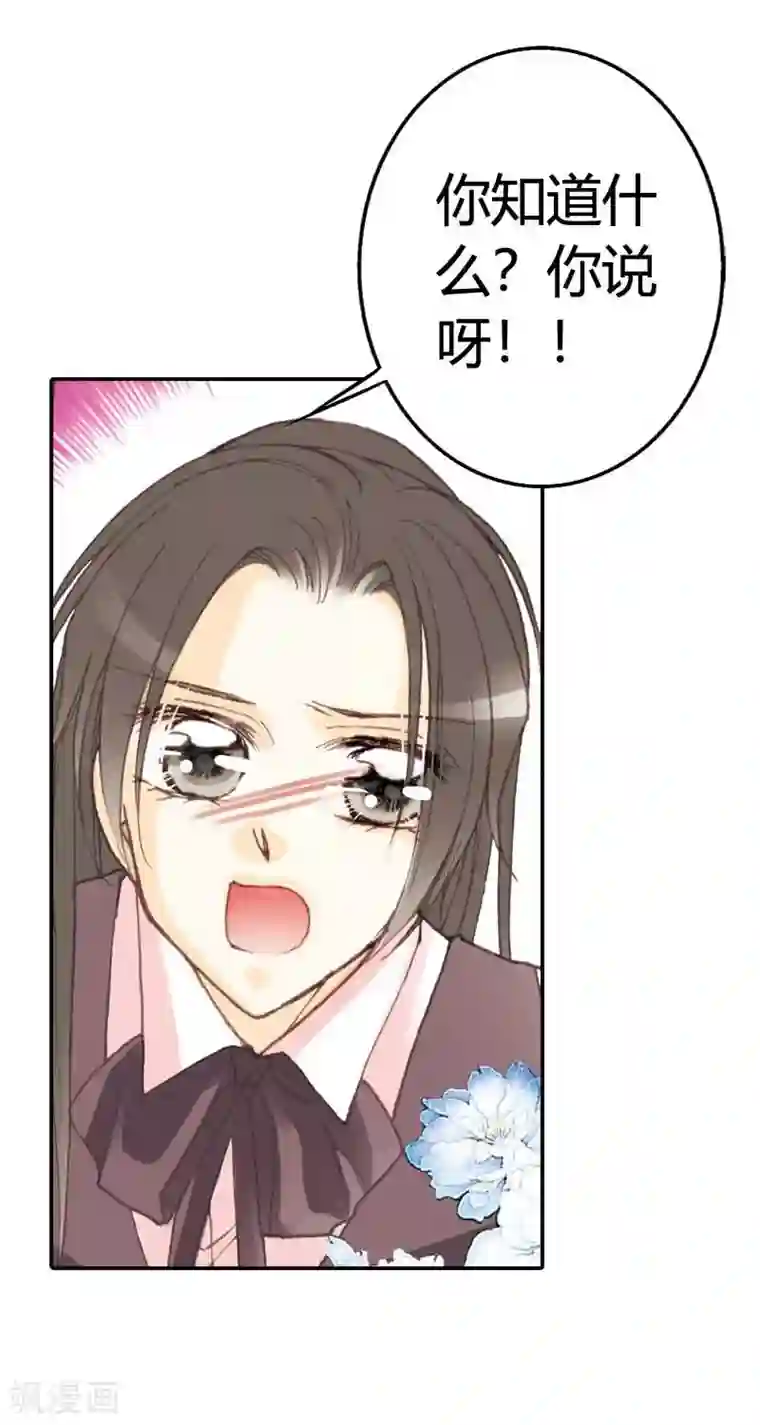 灰姑娘进化论第30话