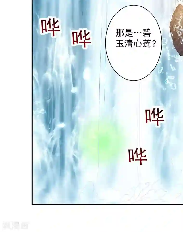 凌天神帝第11话 碧玉清心莲