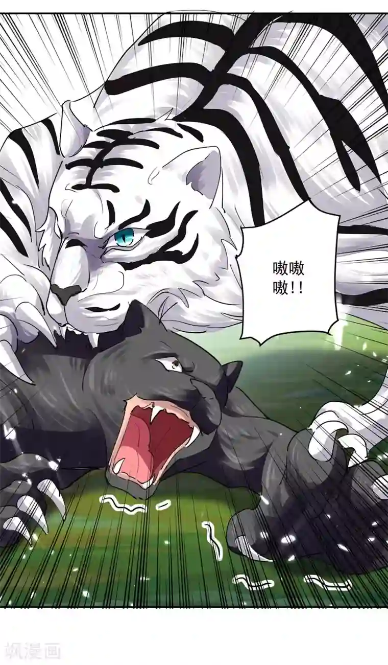凌天神帝第43话 青眸白虎