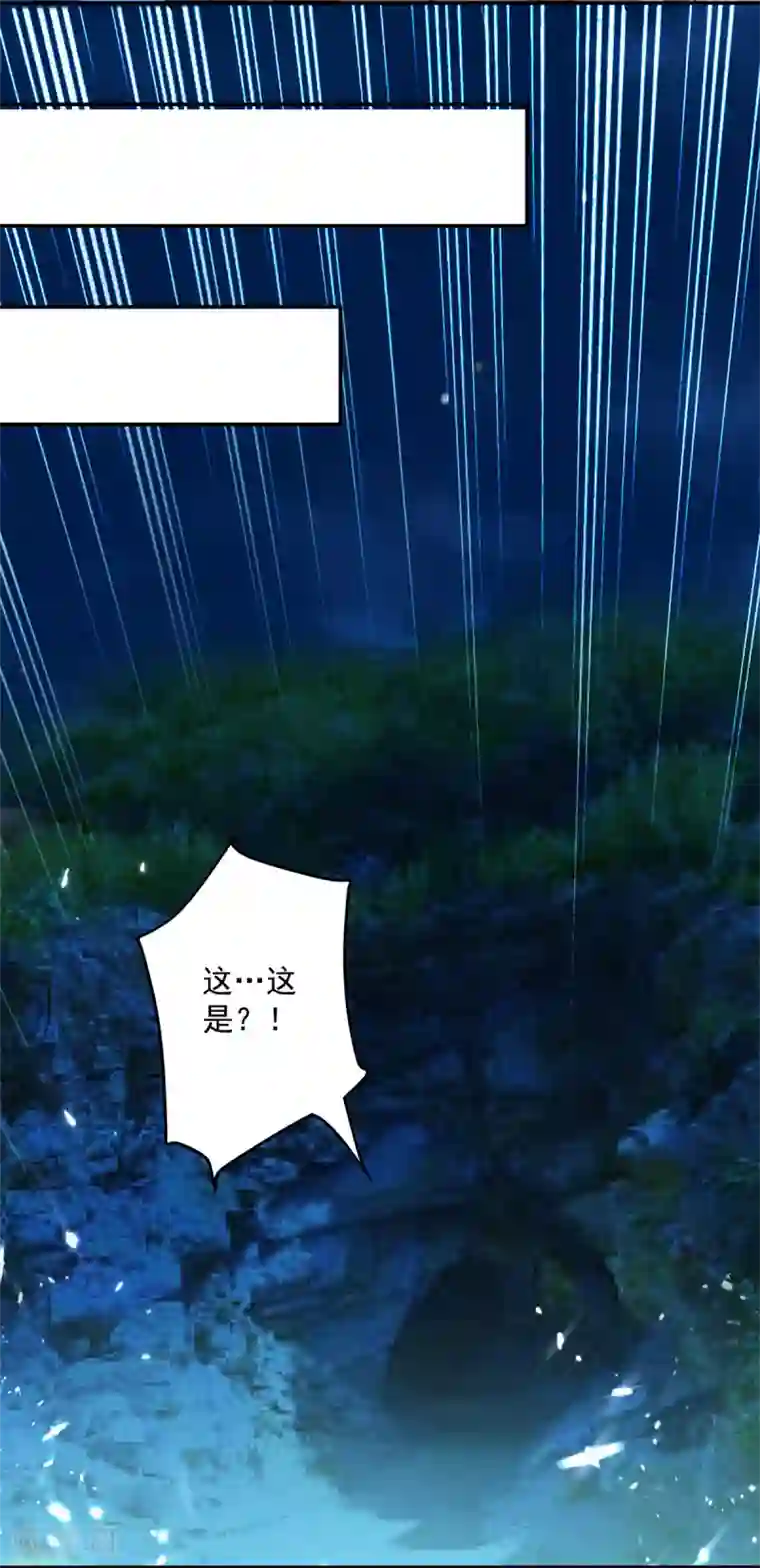 凌天神帝第48话 灵石矿脉