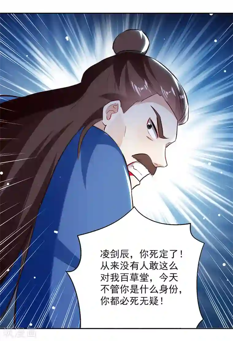 凌天神帝第87话 百草堂堂主