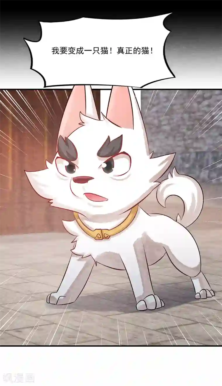 杨戬第2话 我要变成一只猫！