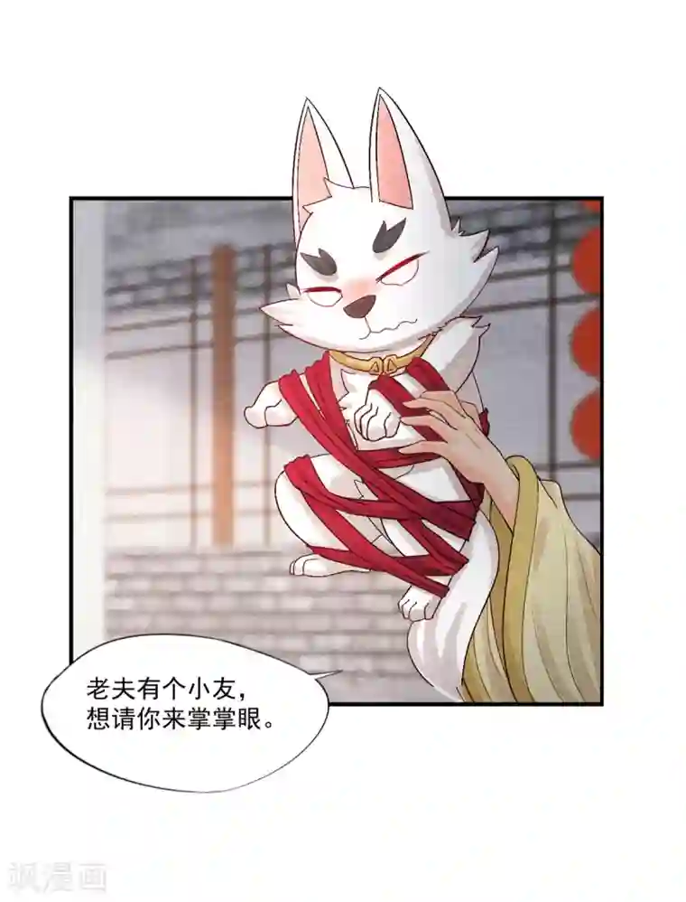 杨戬第2话 我要变成一只猫！