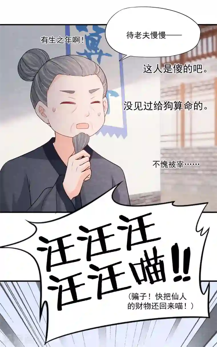 杨戬第2话 我要变成一只猫！