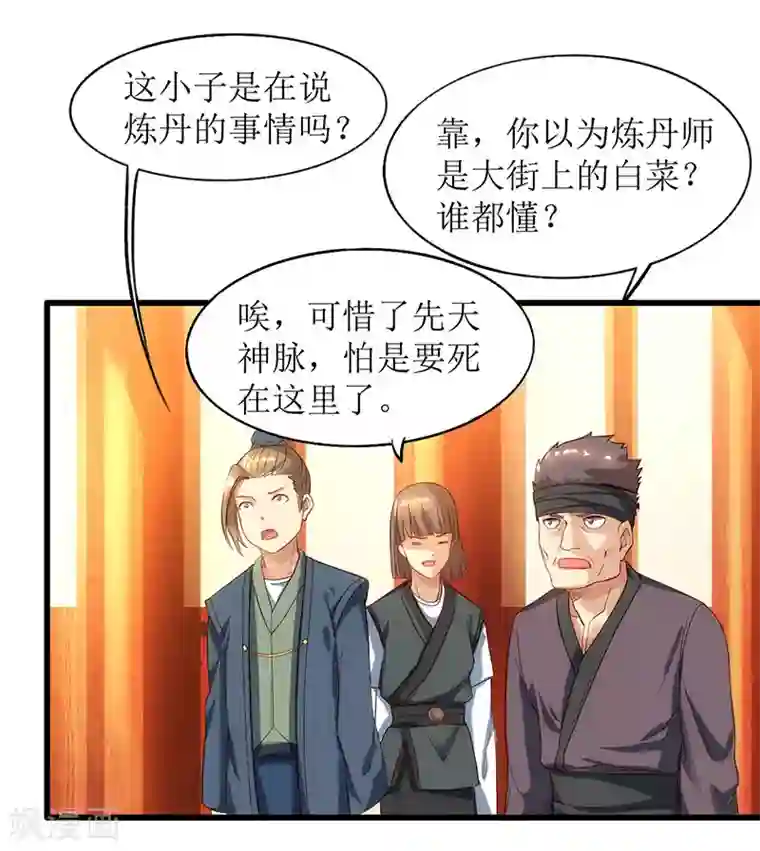 主宰三界第21话 炼丹师