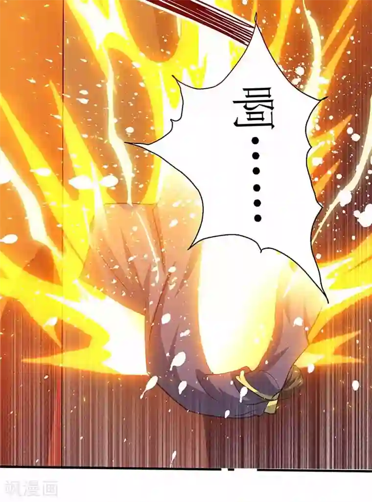 主宰三界第79话 名誉会长