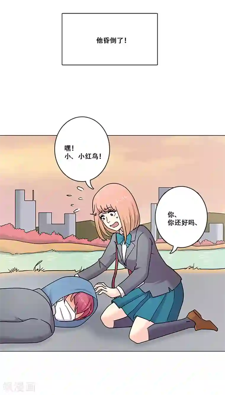 Heartbeat第37话 跟随