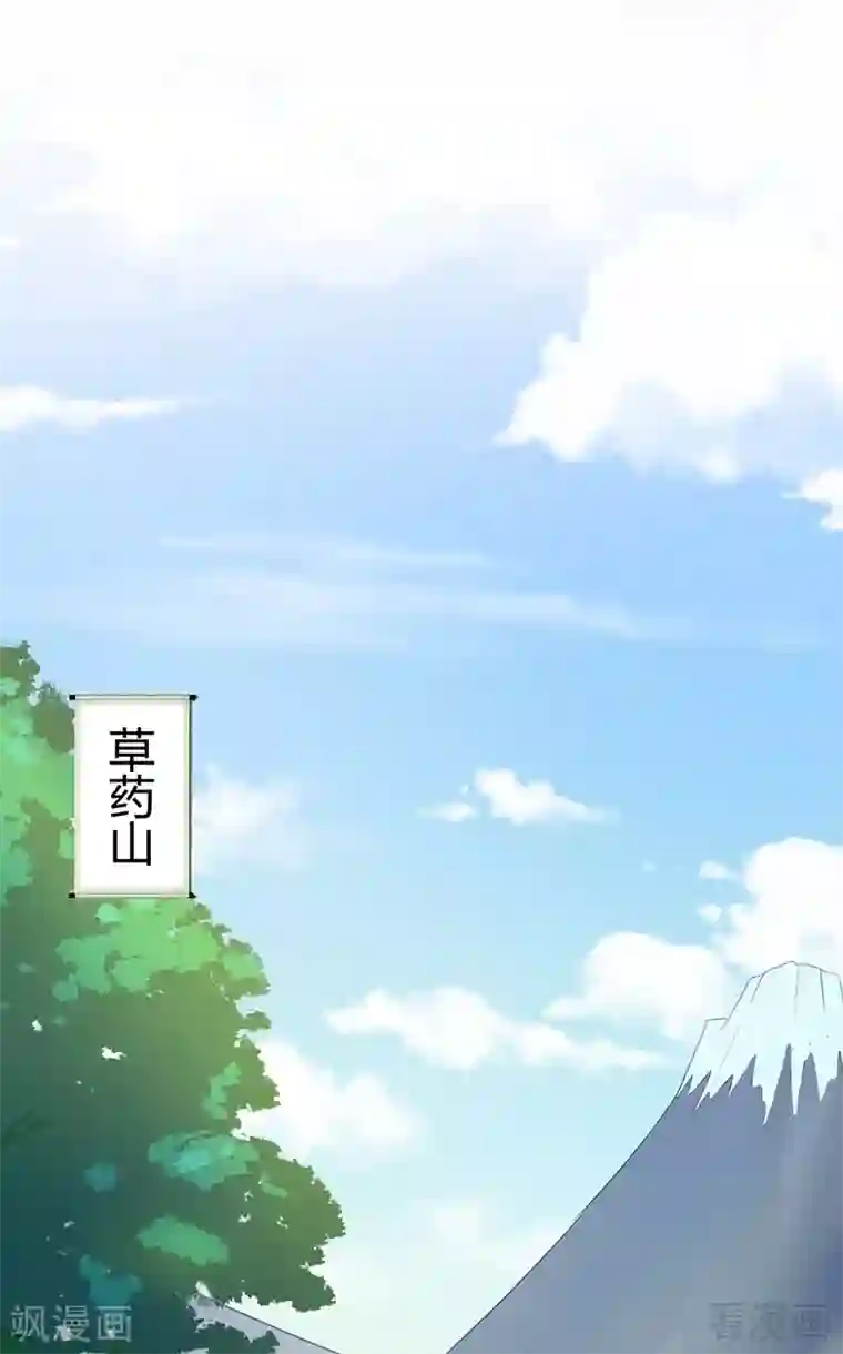 神医毒妃太嚣张第15话 公子世无双