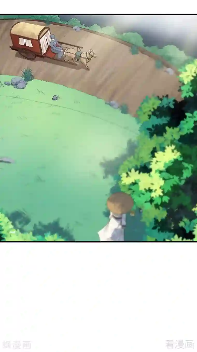 神医毒妃太嚣张第15话 公子世无双