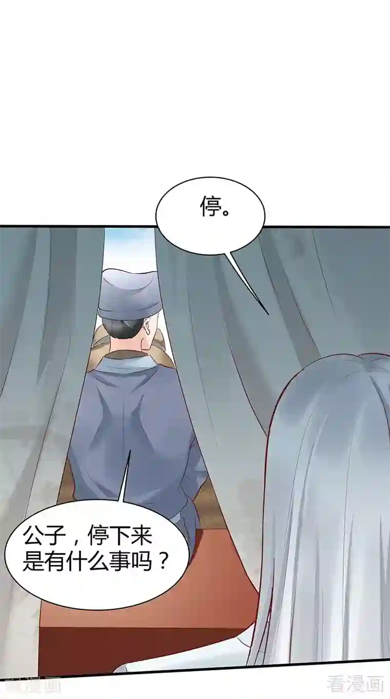 神医毒妃太嚣张第15话 公子世无双