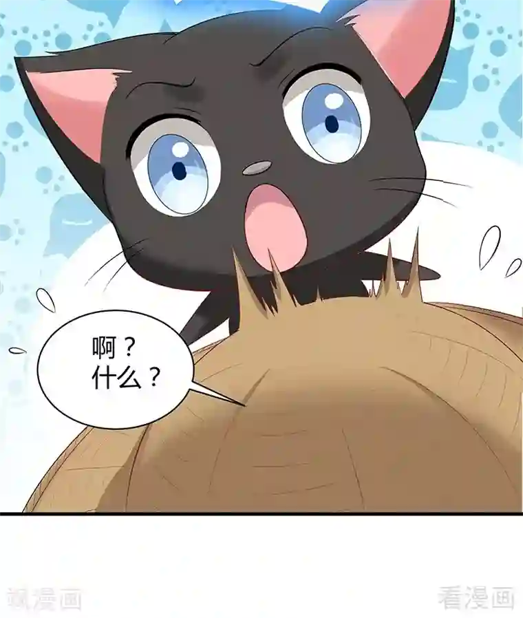 神医毒妃太嚣张第16话 修炼释灵丹