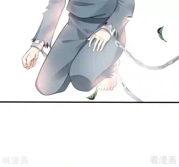 神医毒妃太嚣张第20话 你的名字叫风行