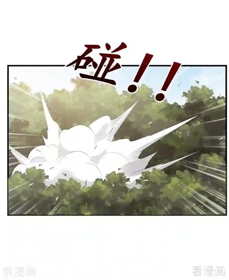 神医毒妃太嚣张第36话 拜师修炼