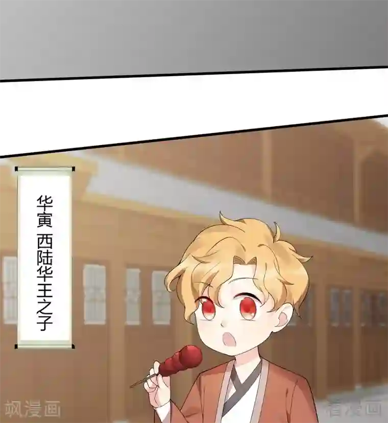 神医毒妃太嚣张第43话 小白与小少年