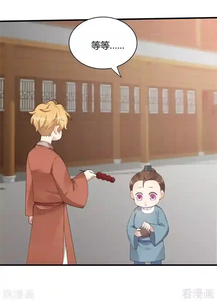 神医毒妃太嚣张第43话 小白与小少年