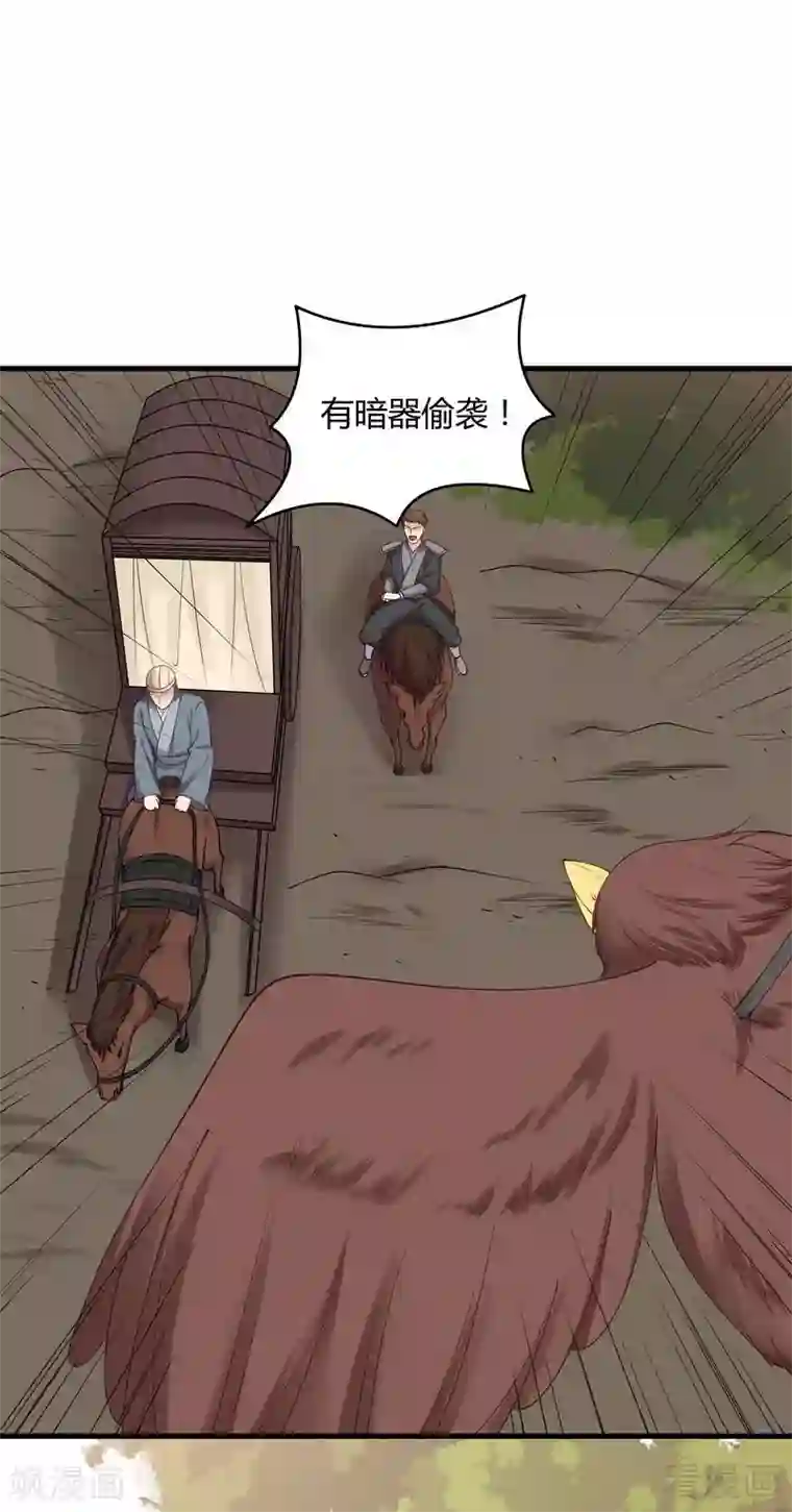 神医毒妃太嚣张第44话 好久不见君若怜！