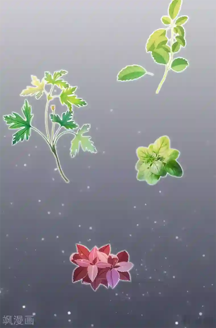 神医毒妃太嚣张第62话 送上门的打脸