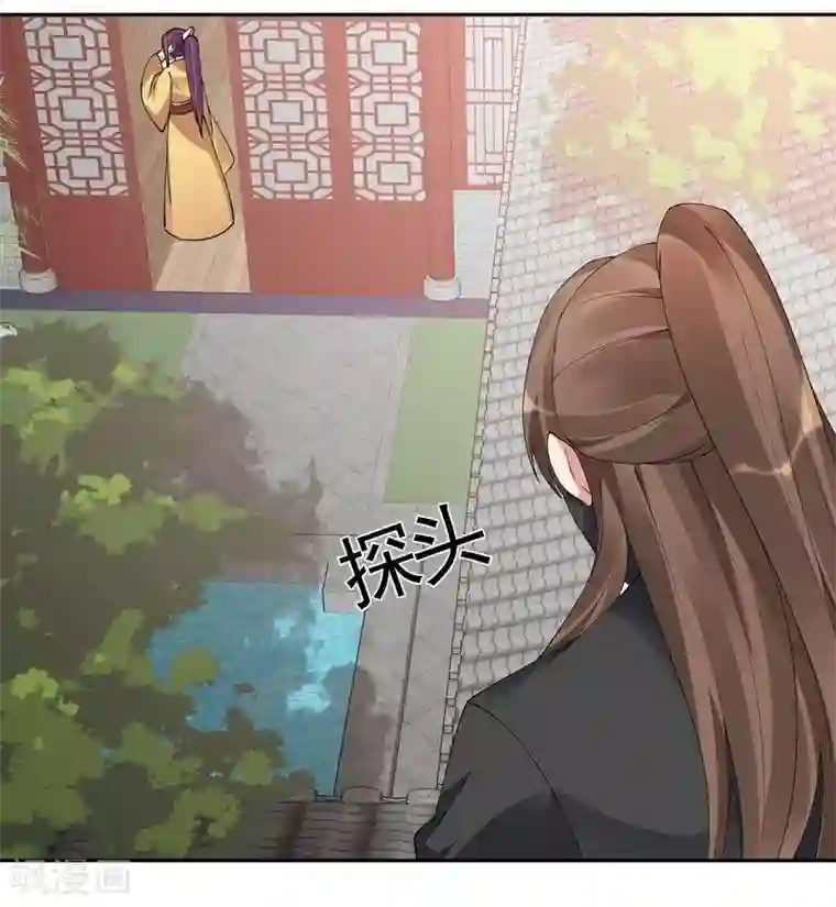 神医毒妃太嚣张第68话 让无颜成为王妃