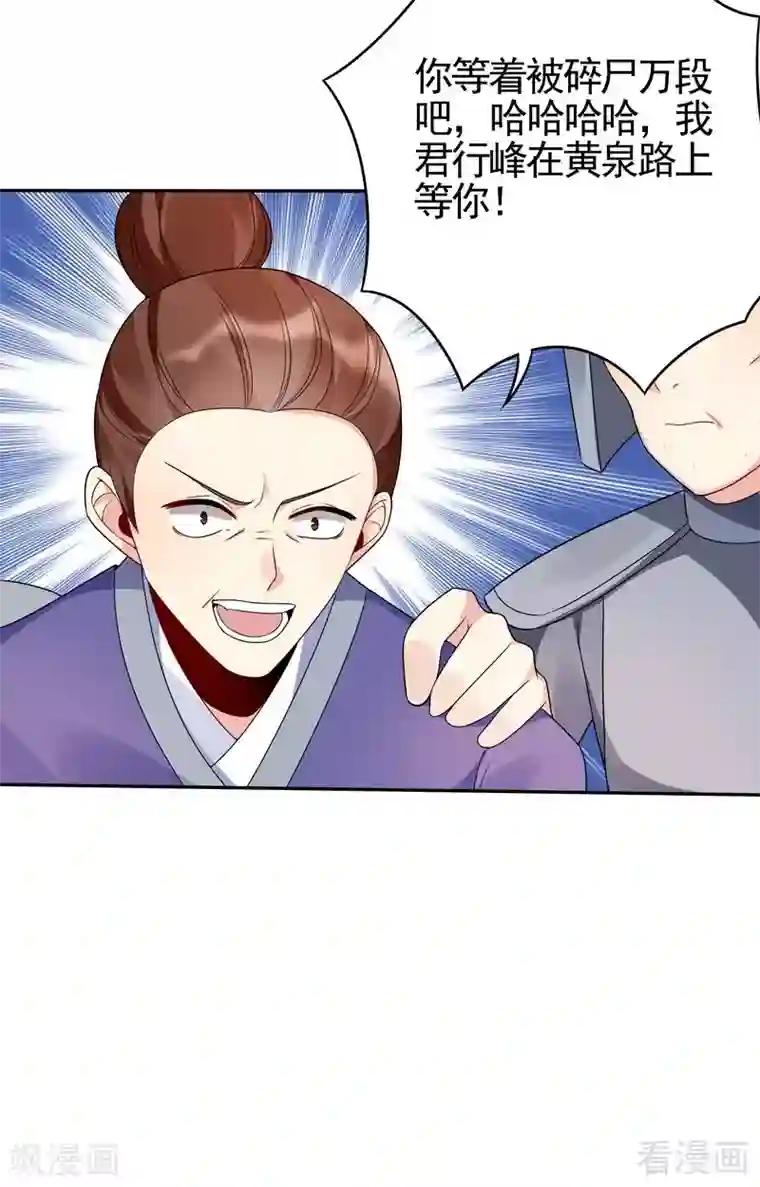 神医毒妃太嚣张第88话 君行峰之死