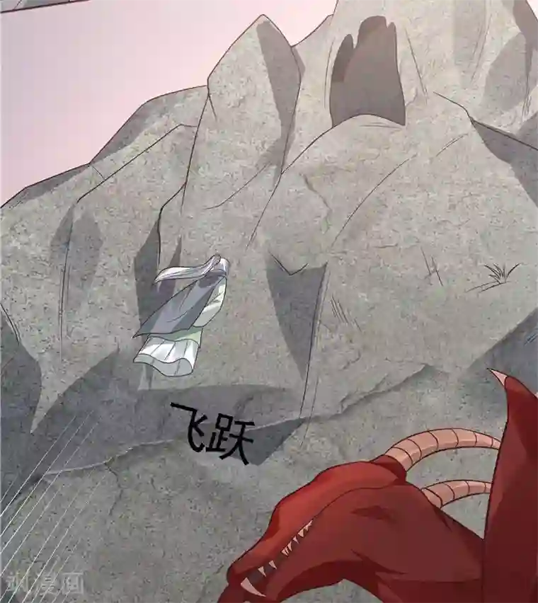 神医毒妃太嚣张第108话 二十三岁的九级玄师