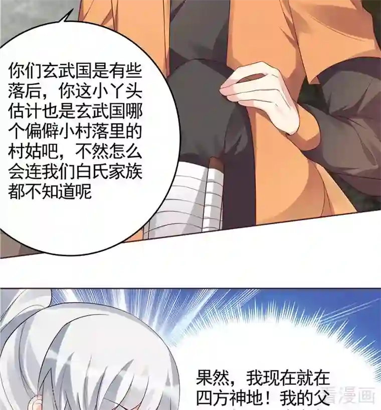 神医毒妃太嚣张第108话 二十三岁的九级玄师