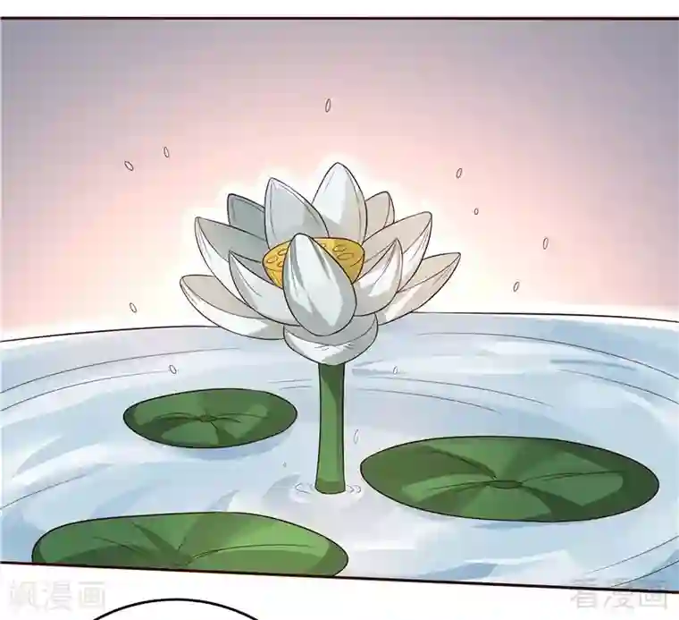 神医毒妃太嚣张第109话 精神力辅佐