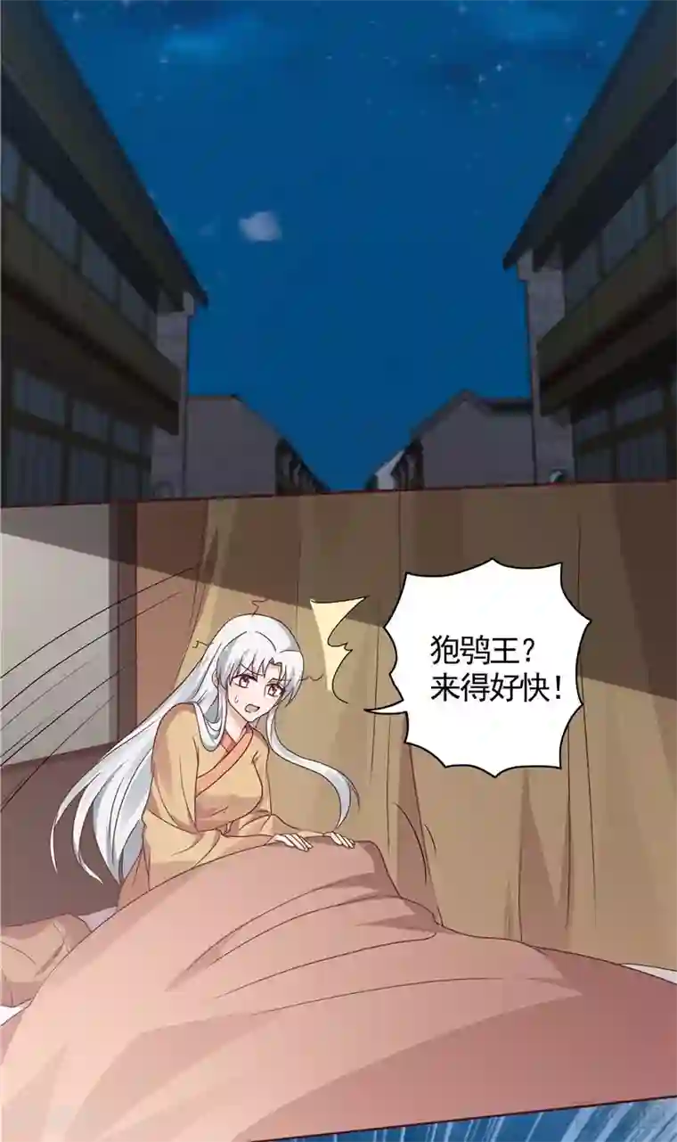 神医毒妃太嚣张第112话 三人纠葛