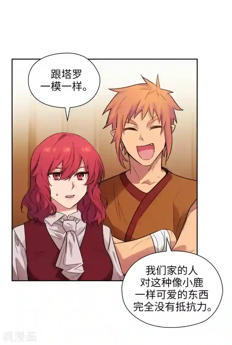 阿多尼斯第291话 奇妙的缘分