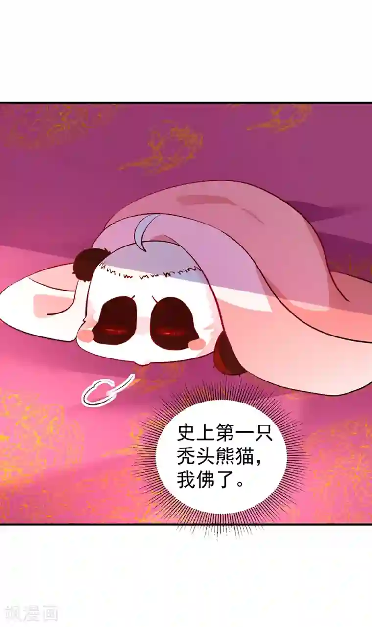 萌妃来袭：天降熊猫求抱抱番外3 秃头那点事儿