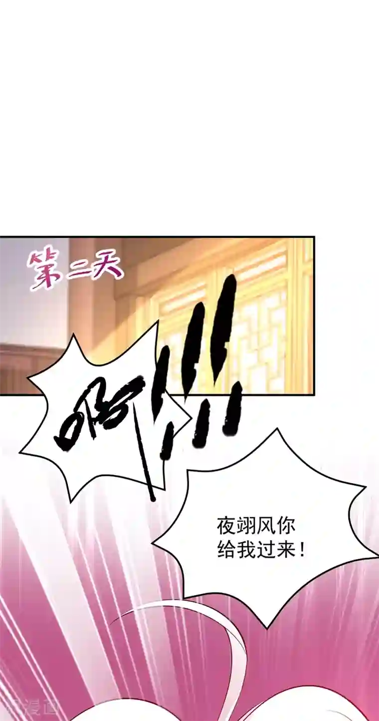 萌妃来袭：天降熊猫求抱抱番外3 秃头那点事儿