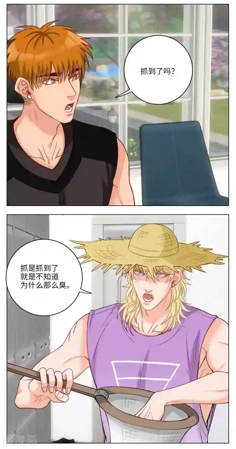 男生宿舍303第70话 调皮的小巴