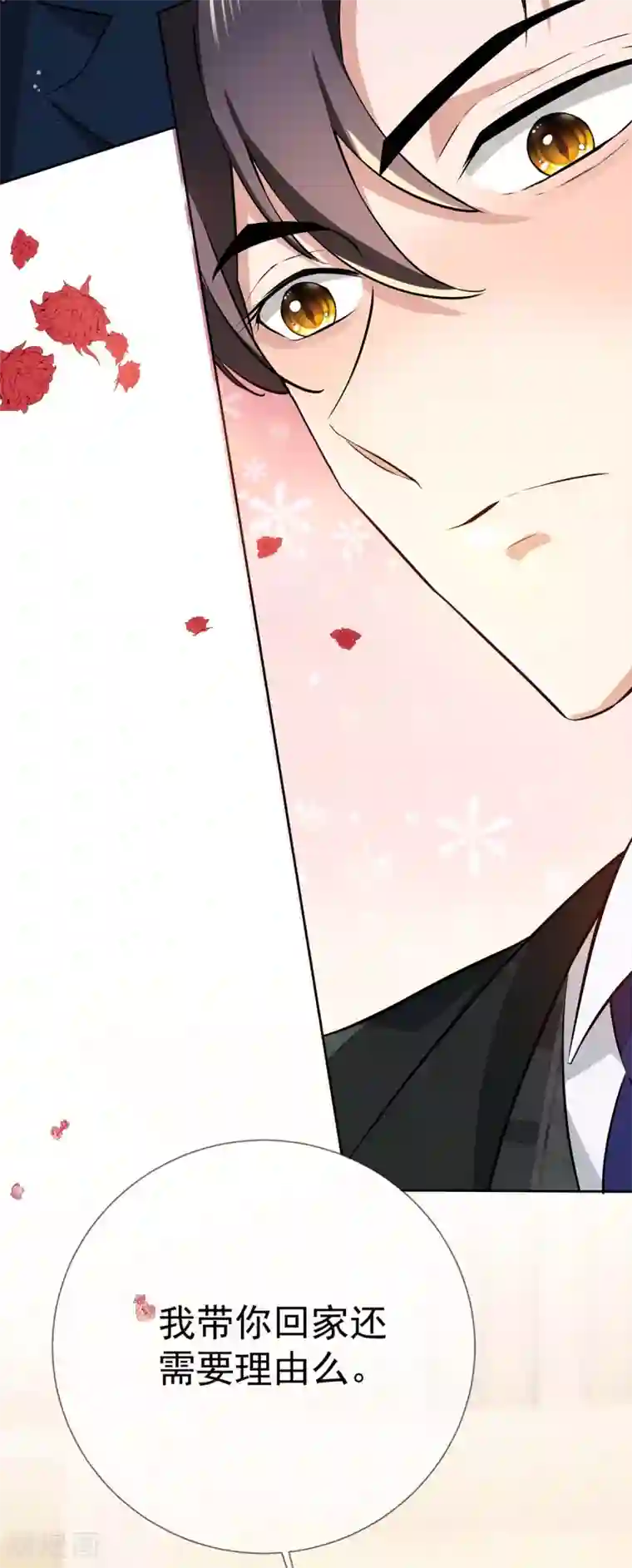 纯情陆少第203话 复合协议书