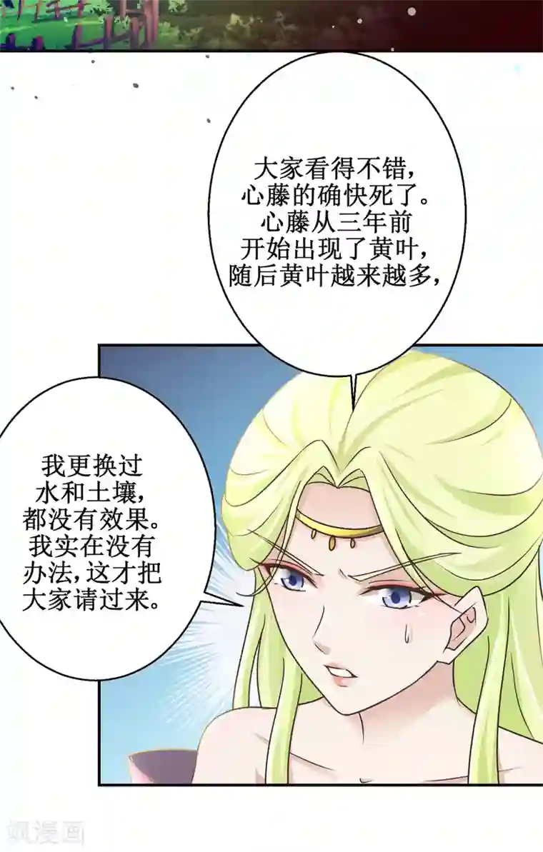 九阳帝尊第175话 给你机会