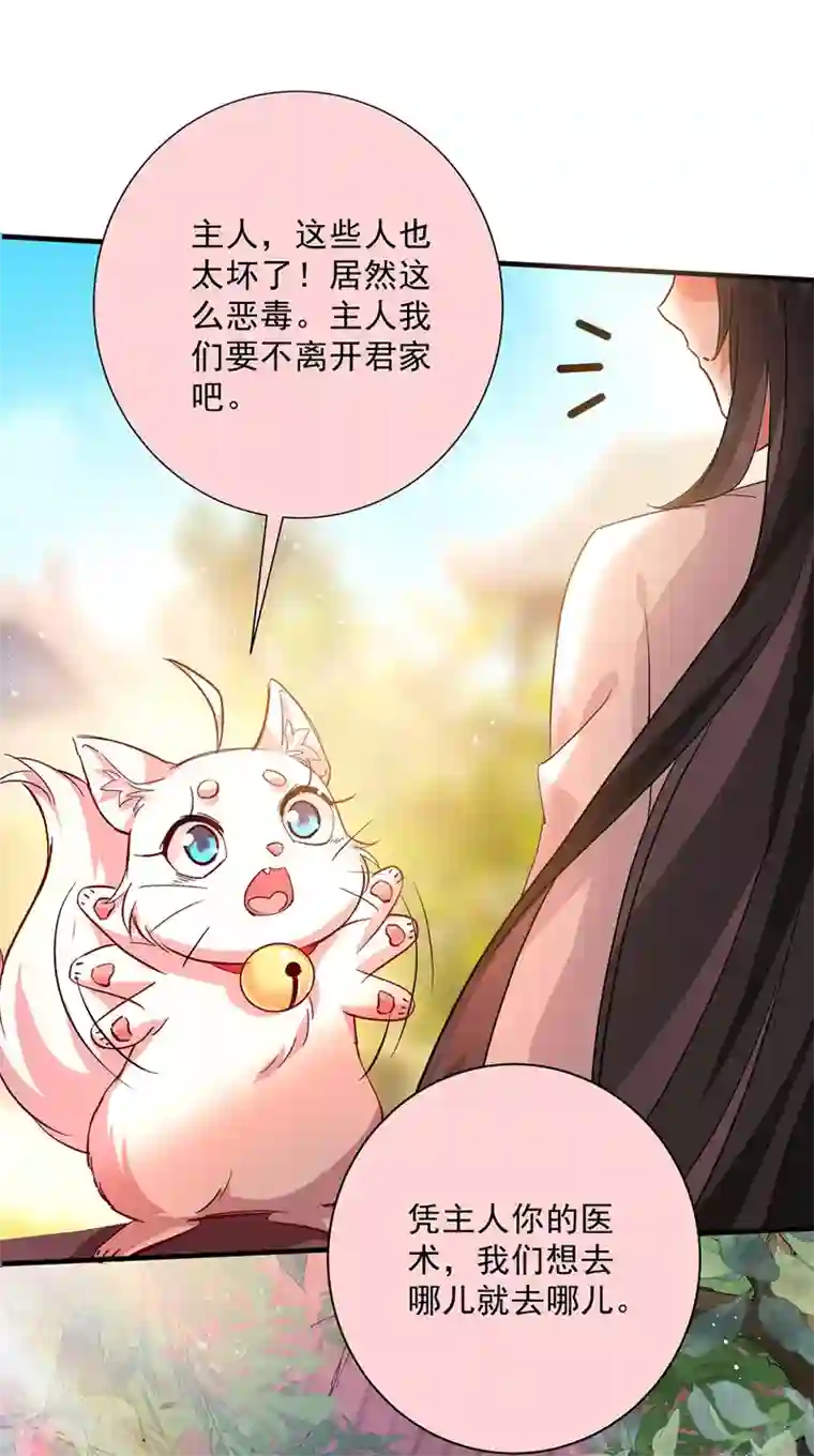 我在异界养男神：神医九小姐第15话 丫鬟碧萝