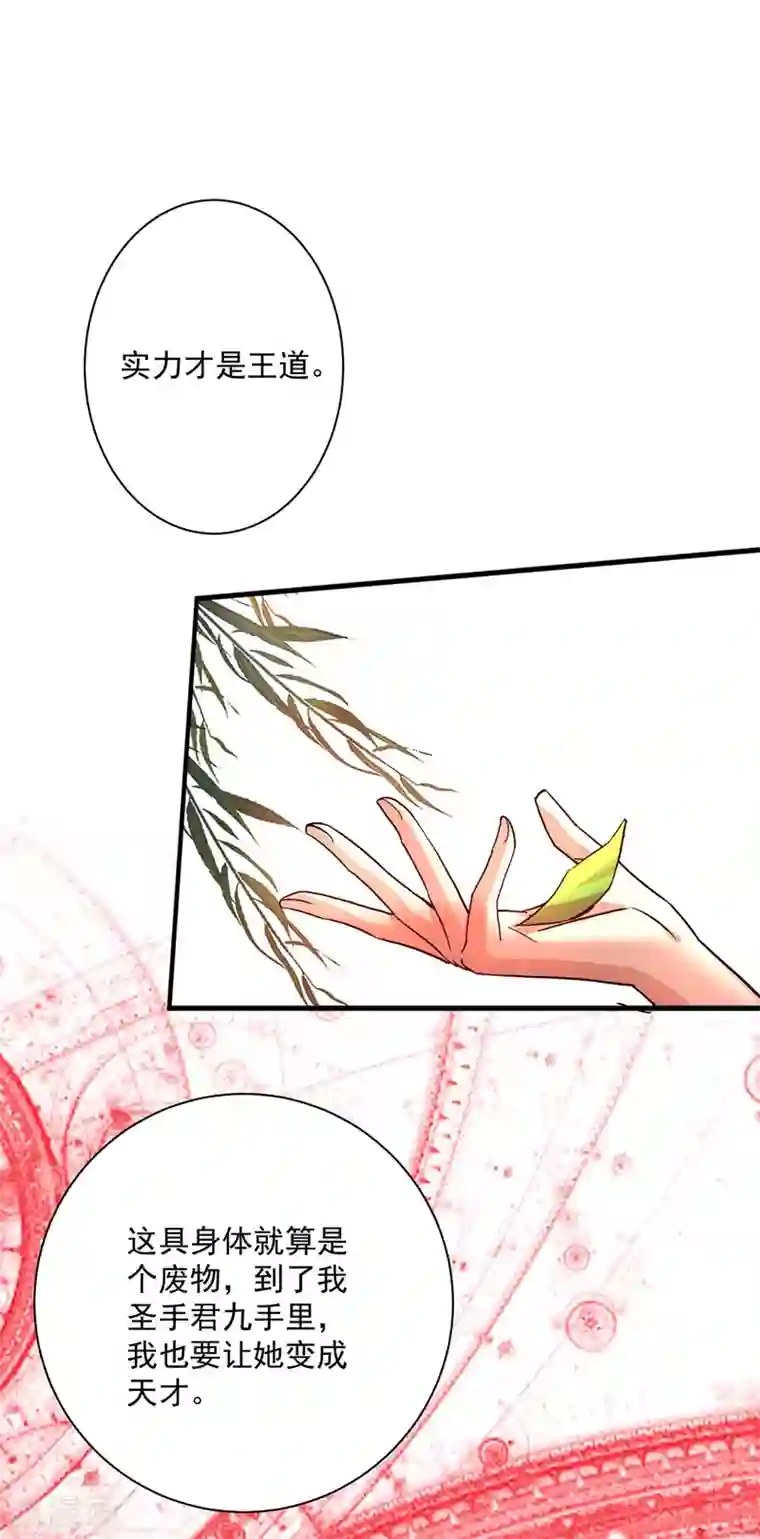 我在异界养男神：神医九小姐第15话 丫鬟碧萝