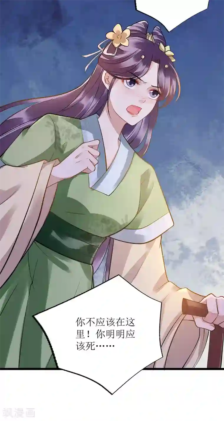 一品嫡女第117话 萧府贺宴