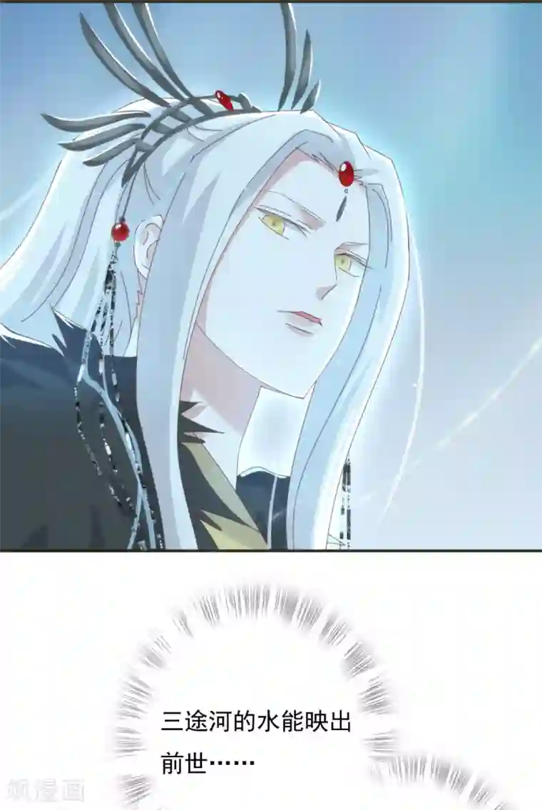 冷邪冥王的心尖宠第11话 前世倒影