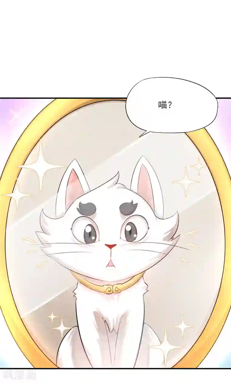 杨戬第3话 变变变！我是猫啦~