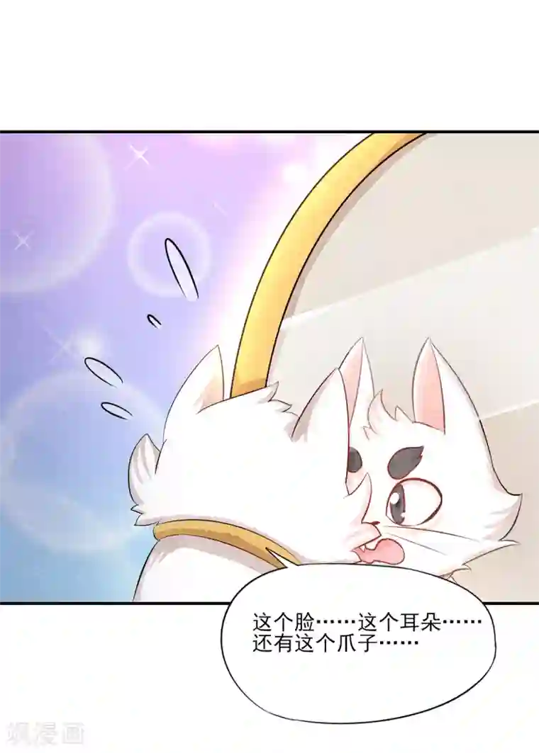 杨戬第3话 变变变！我是猫啦~