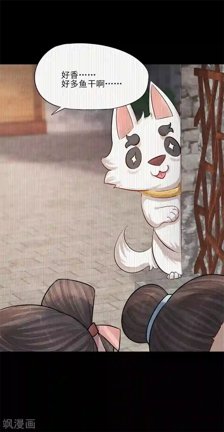 杨戬第3话 变变变！我是猫啦~