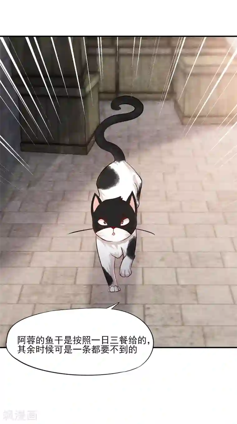 杨戬第3话 变变变！我是猫啦~