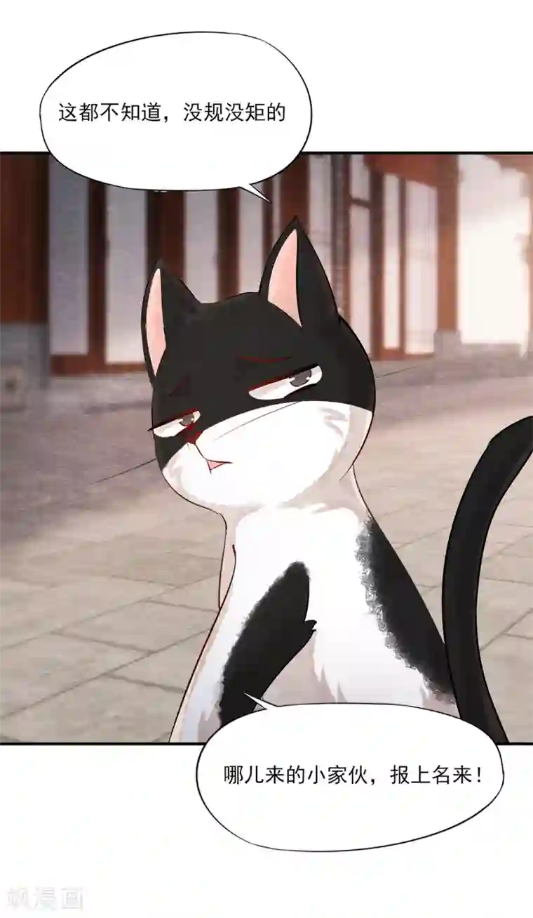 杨戬第3话 变变变！我是猫啦~