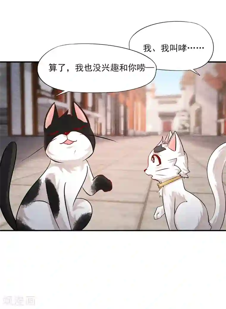 杨戬第3话 变变变！我是猫啦~
